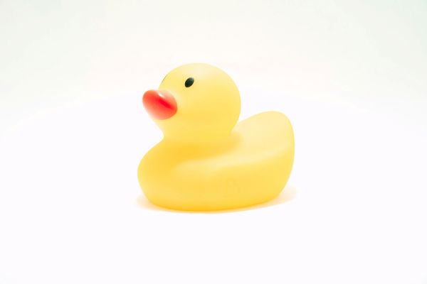Toy Duck